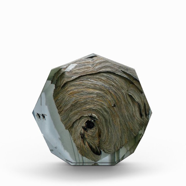 Hornets Nest Award (Front)