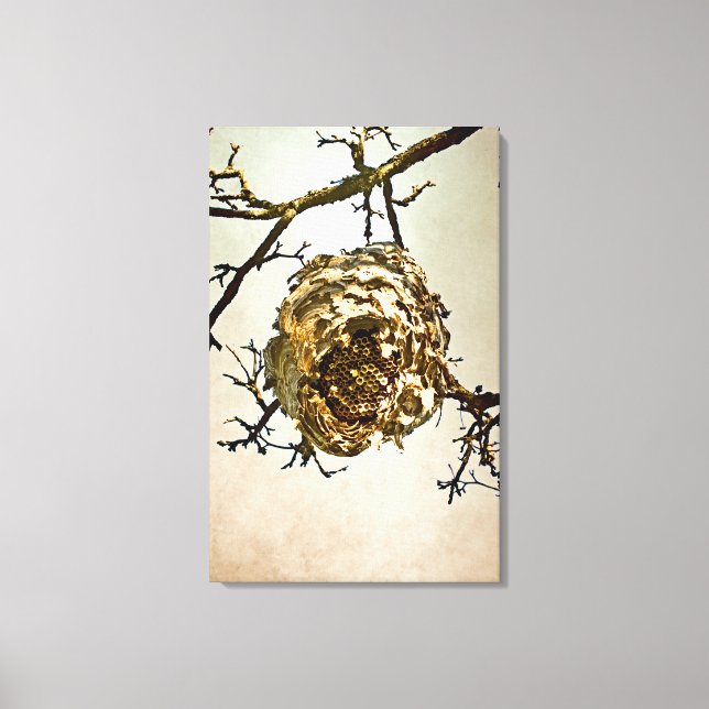 Hornet's Nest Canvas Print (Front)
