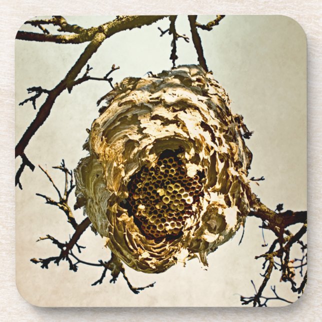 Hornet's Nest Drink Coaster (Front)