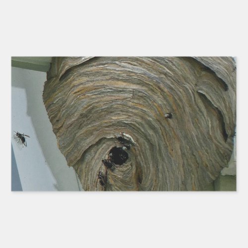 Hornets Nest Rectangular Sticker