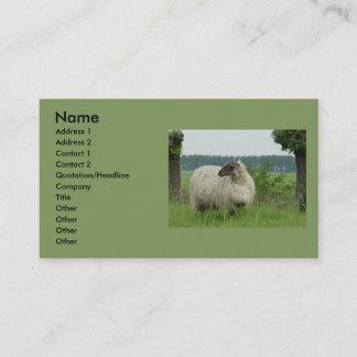 Hornless sheep business card