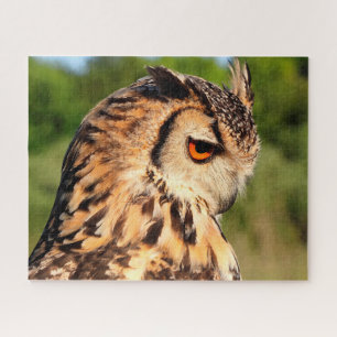 Hornugle Owl- Birds of Prey. Jigsaw Puzzle