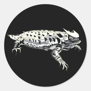 Horny Toad  Black/Clear Sticker Decal