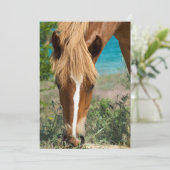 Horse (Standing Front)