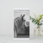 horse (Standing Front)