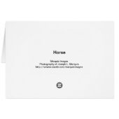 Horse (Back Horizontal)