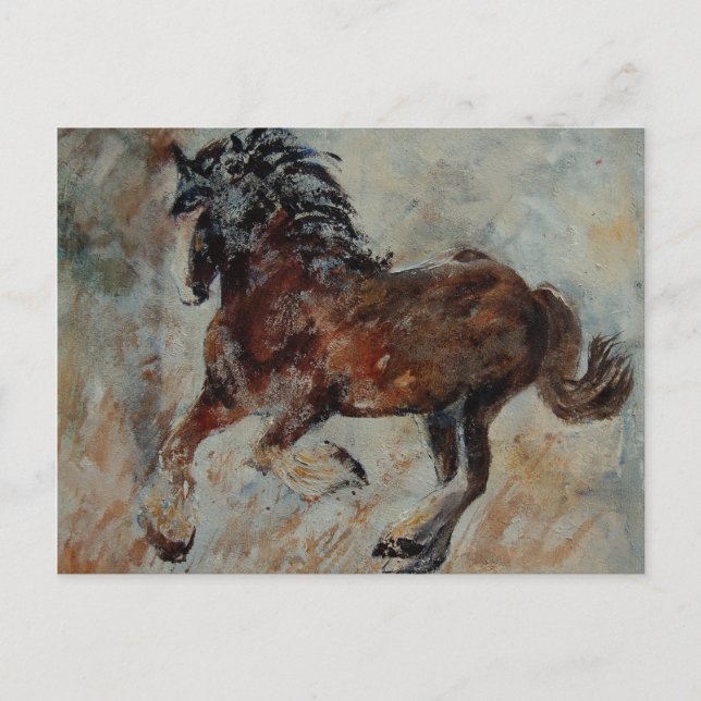 horse561 postcard (Front)