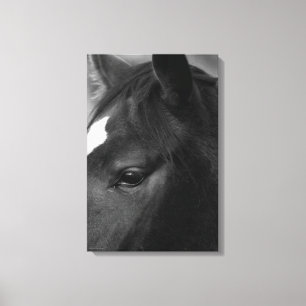 Horse 16x24 (40x60cm) wacm canvas print