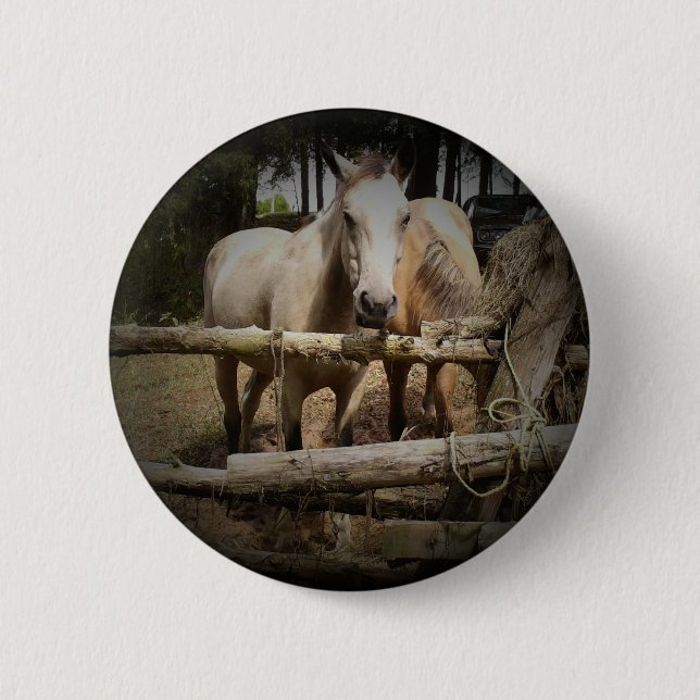 HORSE 1 Button (Front)
