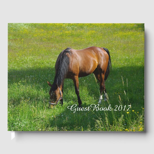 Horse #1 guest book (Front)