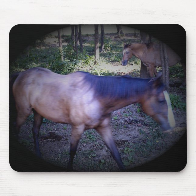 Horse 2  Mousepad (Front)