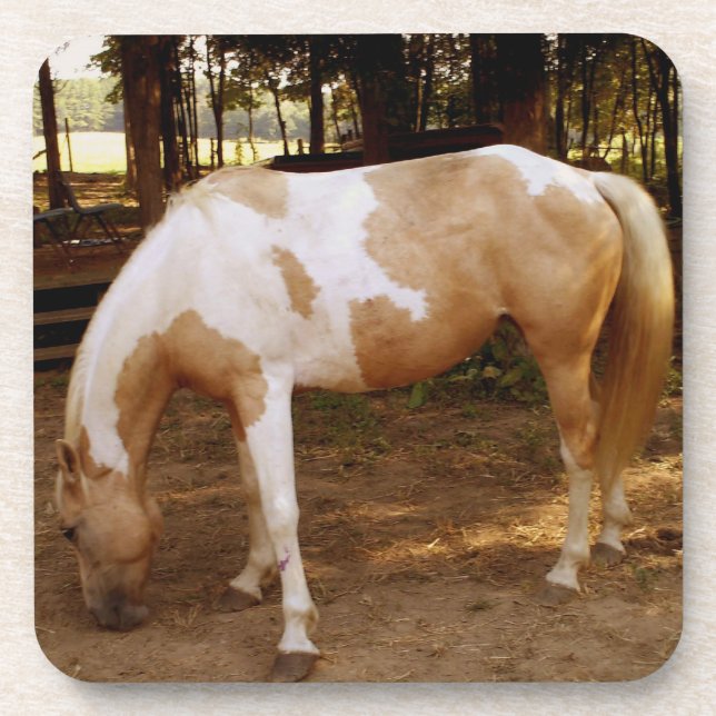 Horse 3 beverage coaster (Front)