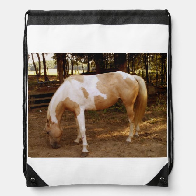 Horse 3 Drawstring Backpack (Front)