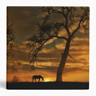 Horse 3 Ring Binder