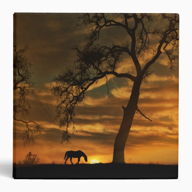 Horse 3 Ring Binder (Front)