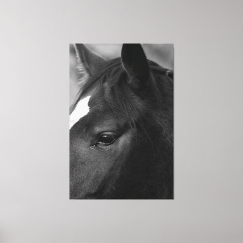 Horse 40x60 100x150cm waccn canvas print