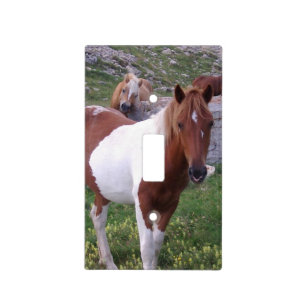 horse-44 light switch cover