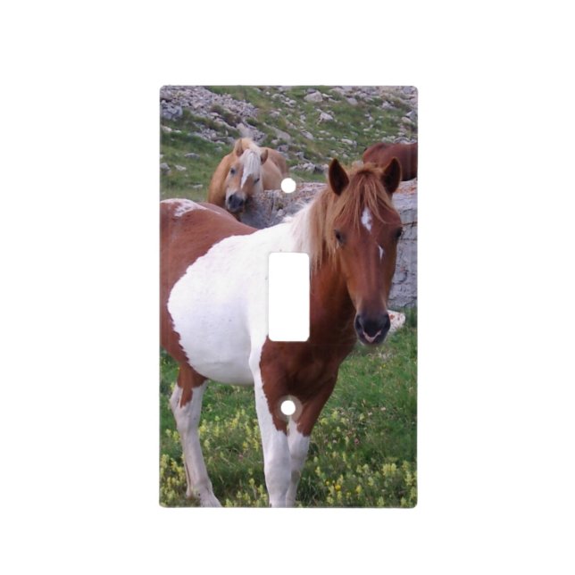 horse-44 light switch cover (Front)