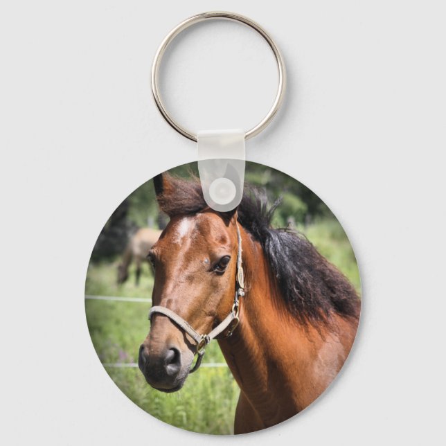 Horse 8674 keychain (Front)