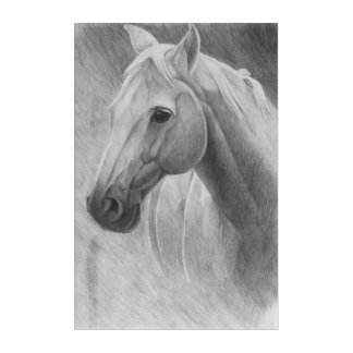 Horse Acrylic Print