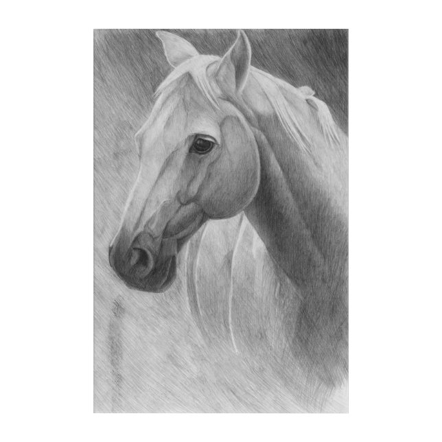 Horse Acrylic Print (Front)