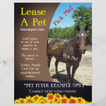 Horse Adoption Flyer
