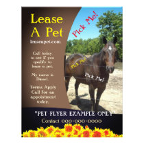 Horse Adoption Flyer
