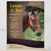 Horse Adoption Pet Flyer