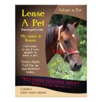 Horse Adoption Pet Flyer