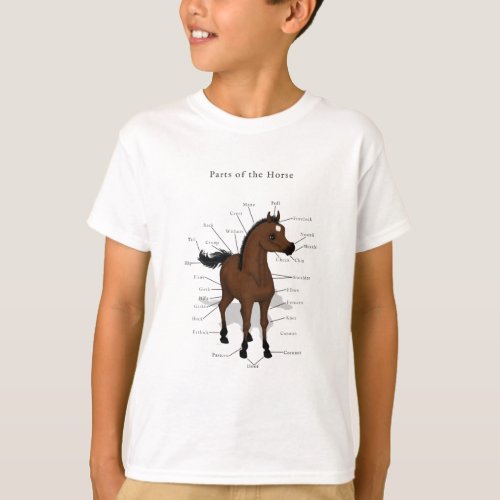Horse Anatomy Chart on Bay Foal with Star T_Shirt