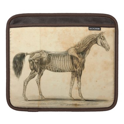 Horse Anatomy iPad Sleeve