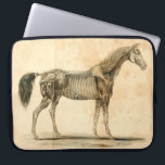 Horse Anatomy Laptop Sleeve<br><div class="desc">Feat. artwork from "Outlines of the Veterinary Art" by Delabere P. Blaine (1802).</div>