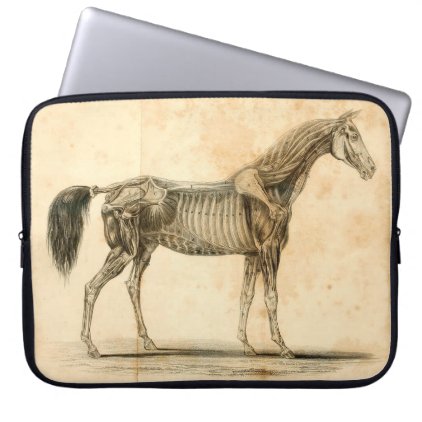 Horse Anatomy Laptop Sleeve