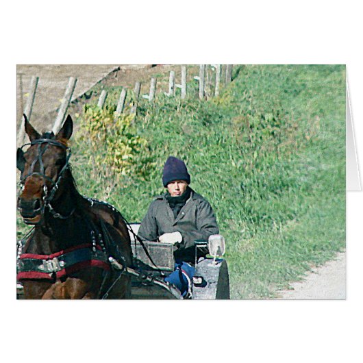 Horse and Buggy Cards (Front Horizontal)