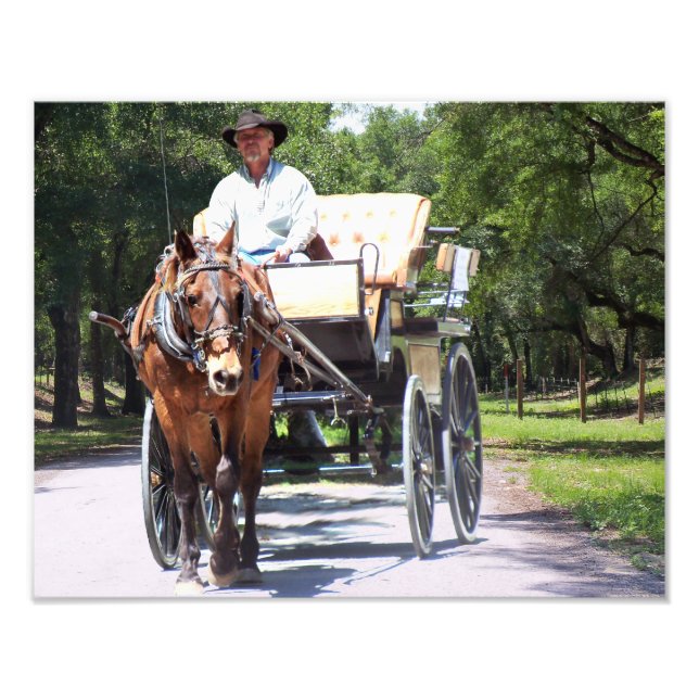 Horse and Buggy Carriage Ride in the country photo (Front)