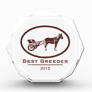 Horse and Buggy Logo Award