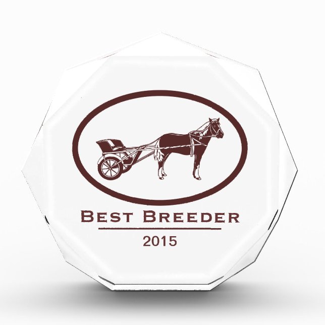 Horse and Buggy Logo Award (Front)