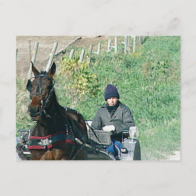 Horse and Buggy Postcard (Front)