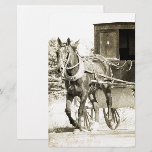 Horse and Buggy Sepia (Front/Back)