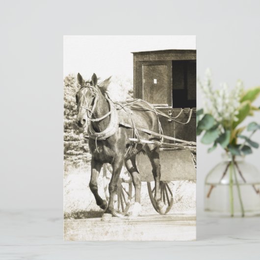 Horse and Buggy Sepia (Standing Front)