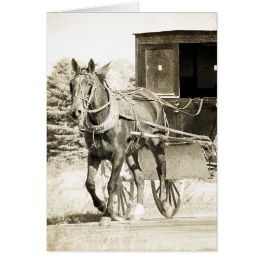 Horse and Buggy Sepia Cards (Front)