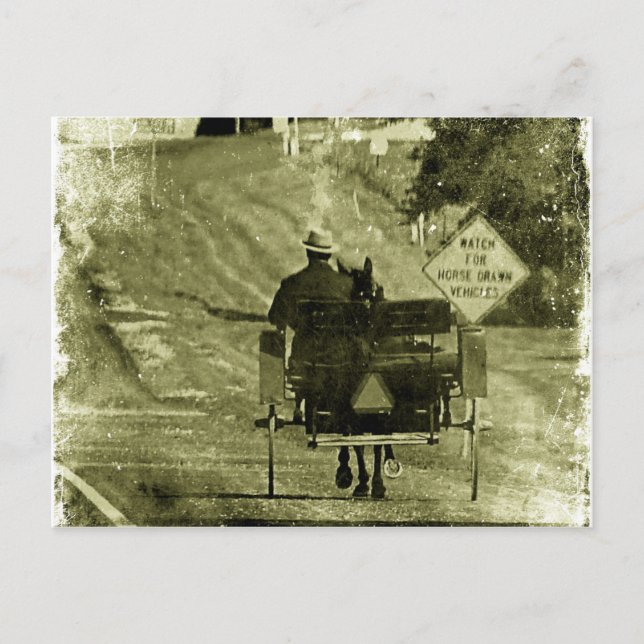 Horse and Buggy Sepia Grunge Postcard (Front)