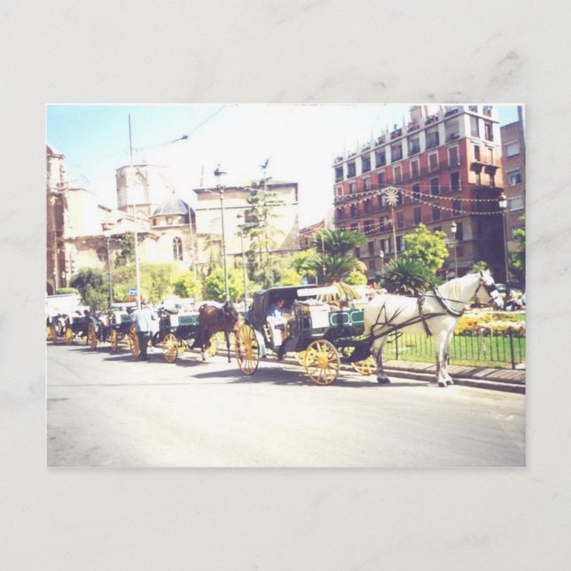 Horse and Carraige Valencia Spain Postcard (Front)