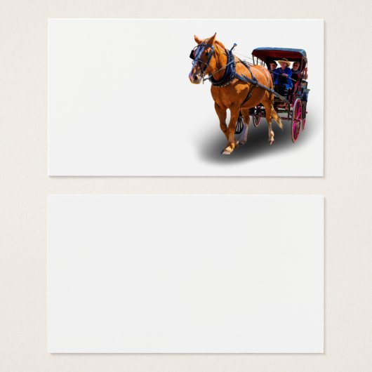 HORSE AND CARRIAGE (Front & Back)