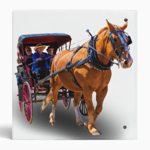 HORSE AND CARRIAGE 3 RING BINDER