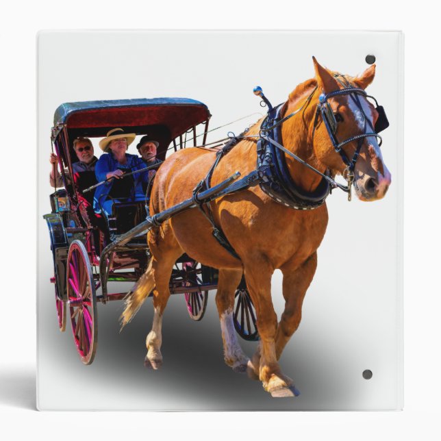 HORSE AND CARRIAGE 3 RING BINDER (Back)