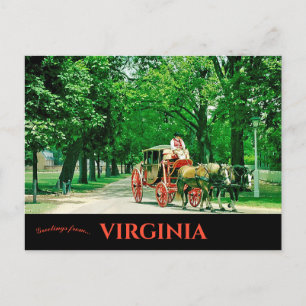 Horse and Carriage Colonial Williamsburg Virginia Postcard