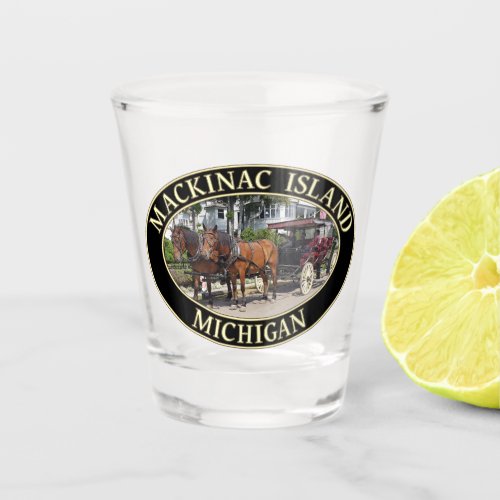 Horse and Carriage on Mackinac Island Michigan Shot Glass