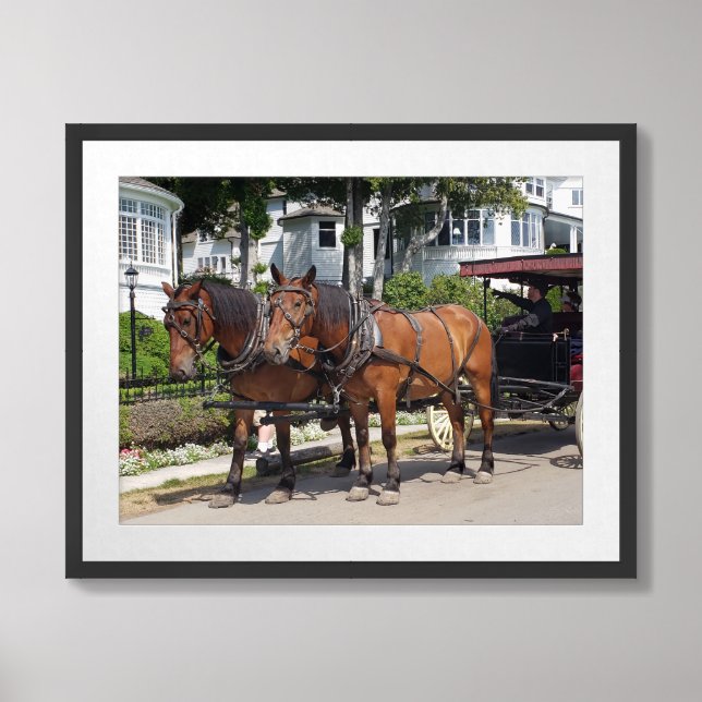 Horse and Carriage on West Bluff Mackinac Island Framed Art (Framed Front)