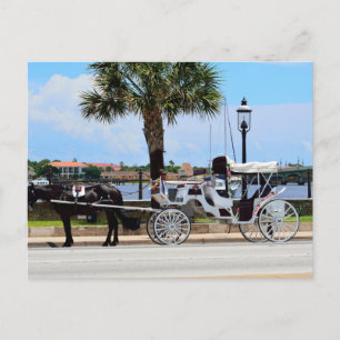 Horse and carriage St. Augustine, Fl. Postcard